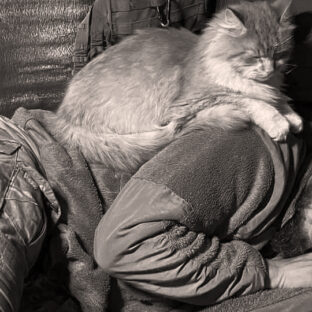 Maksym Krywcow z kotem